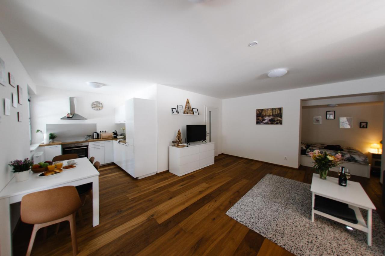 Apartman S Nadhernym Vyhledem V Centru Harrachova Buitenkant foto