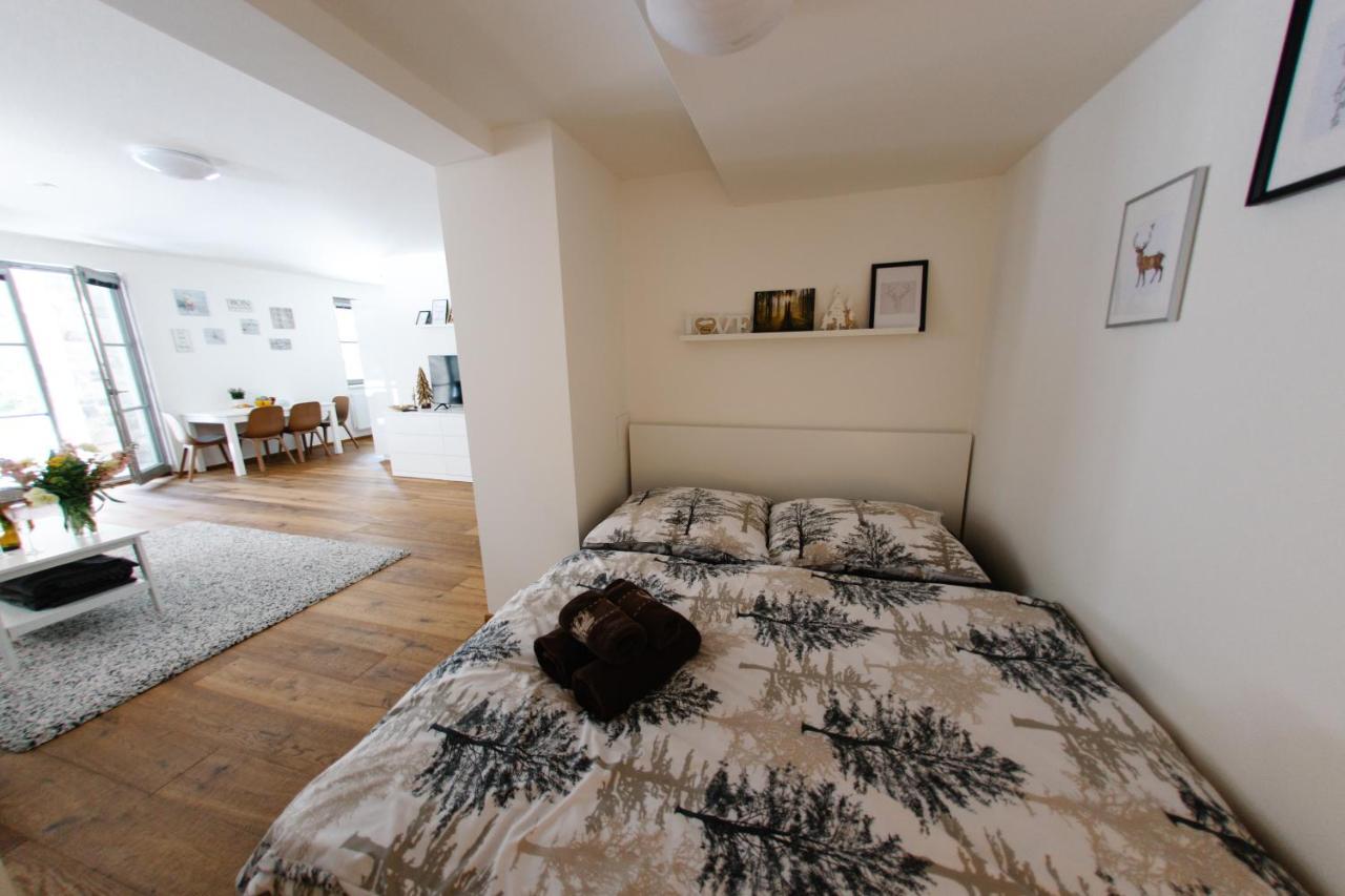 Apartman S Nadhernym Vyhledem V Centru Harrachova Buitenkant foto