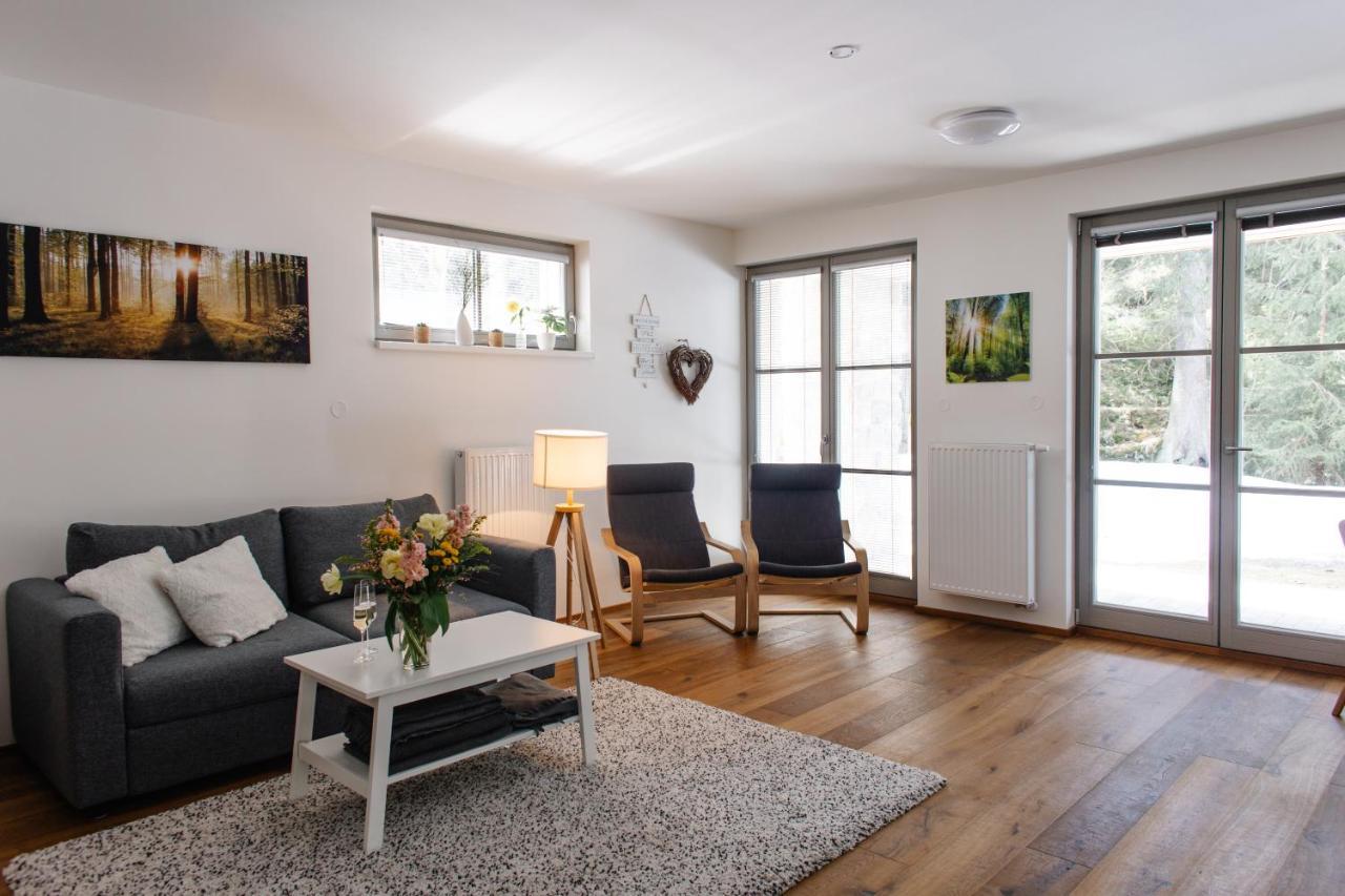 Apartman S Nadhernym Vyhledem V Centru Harrachova Buitenkant foto